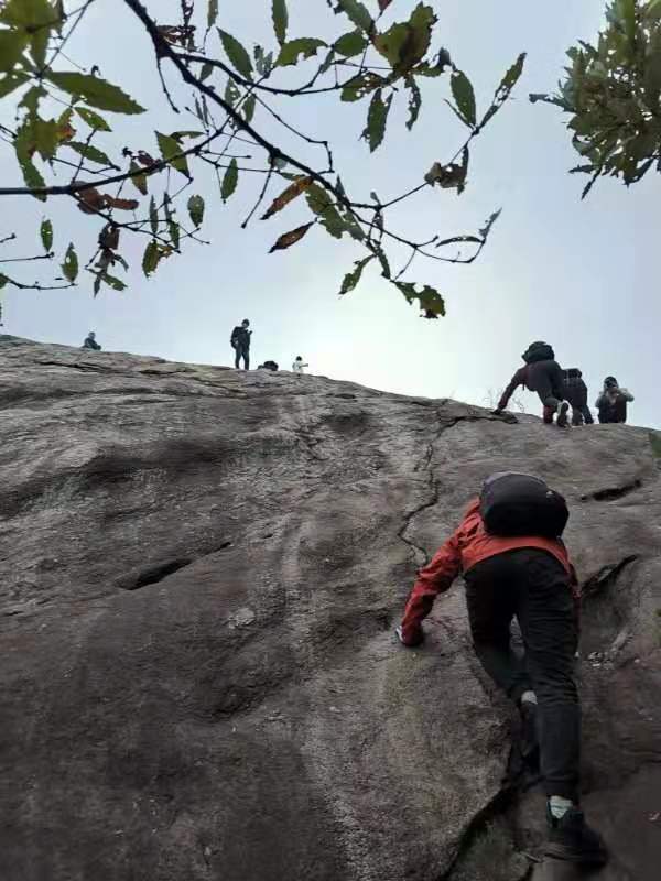 微信图片_20191125095850