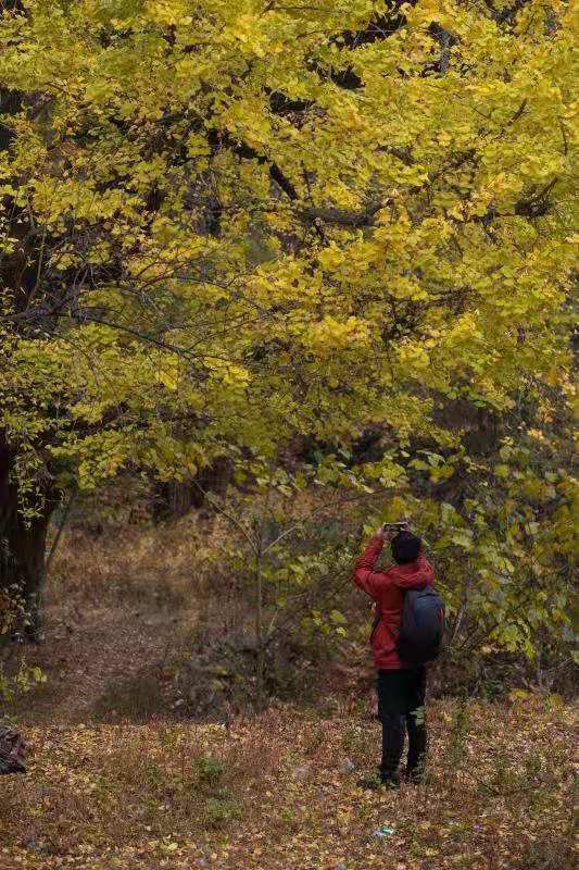 微信图片_20191125100058