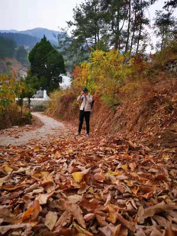 微信图片_201911250955491