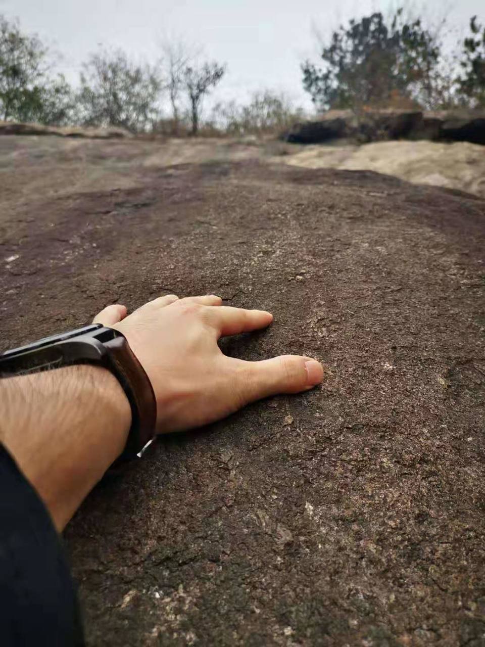 微信图片_201911250955492