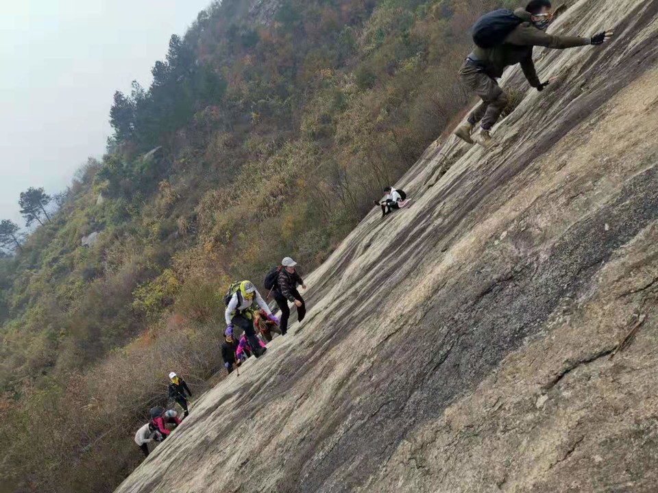 微信图片_201911250955494