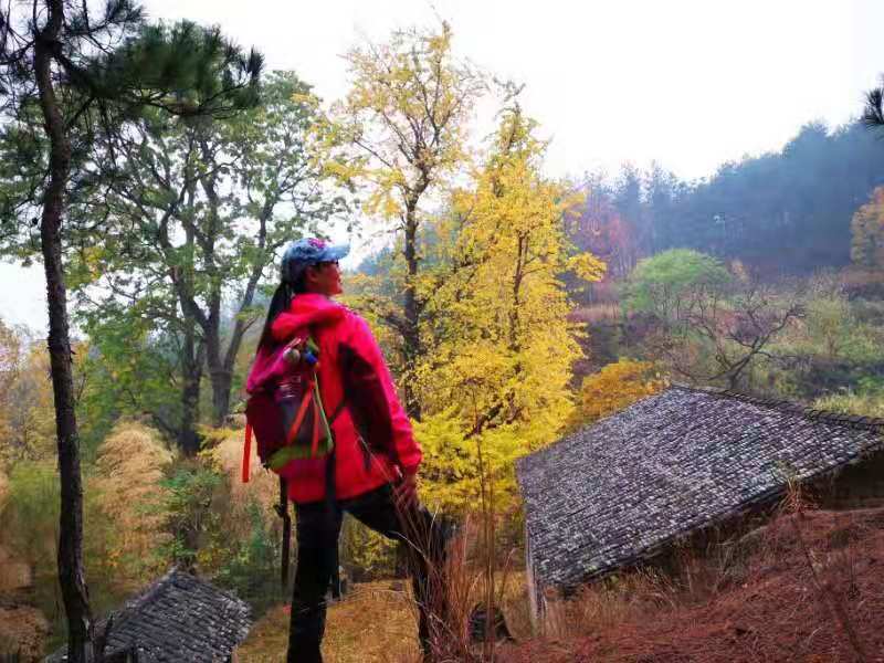 微信图片_201911250956244