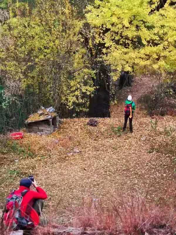 微信图片_201911250956246