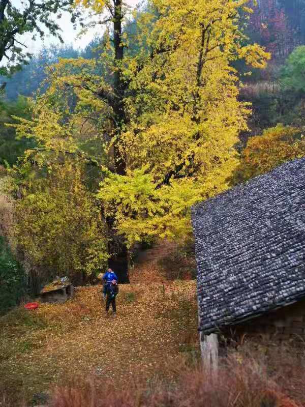 微信图片_201911250956247