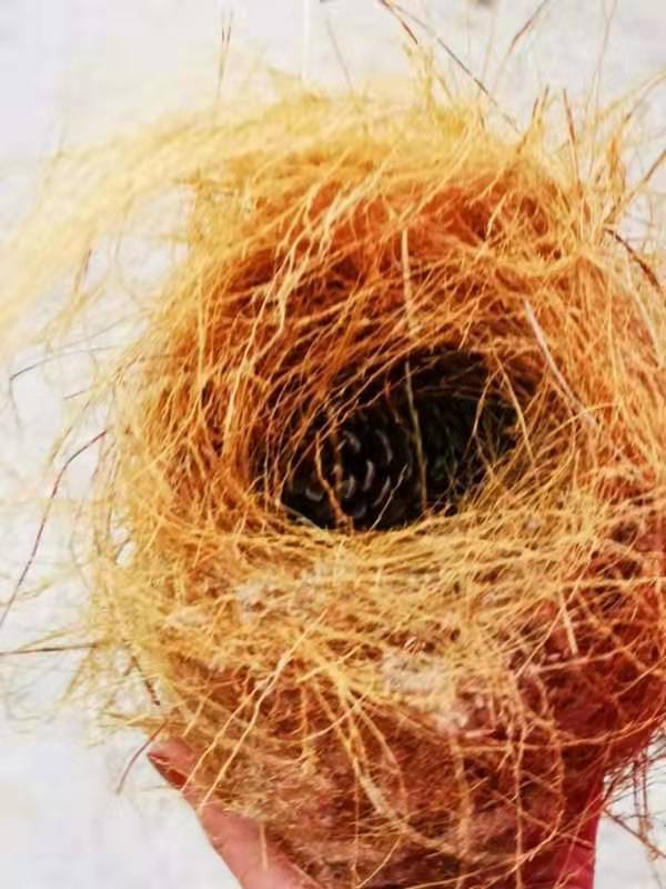 微信图片_201911250957192