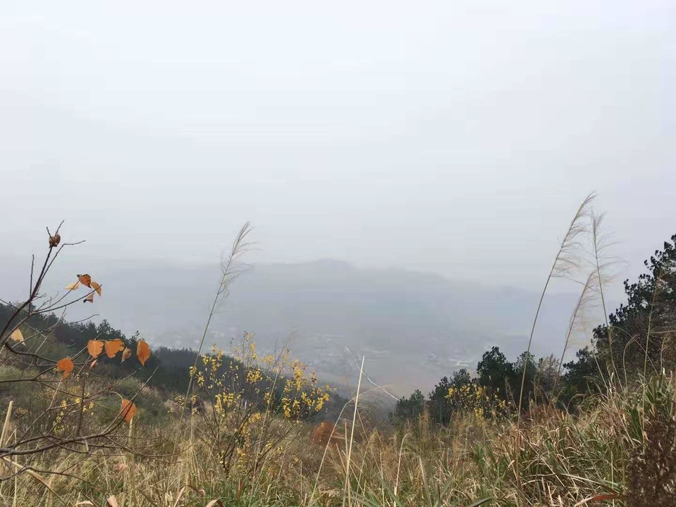 微信图片_201911250957195