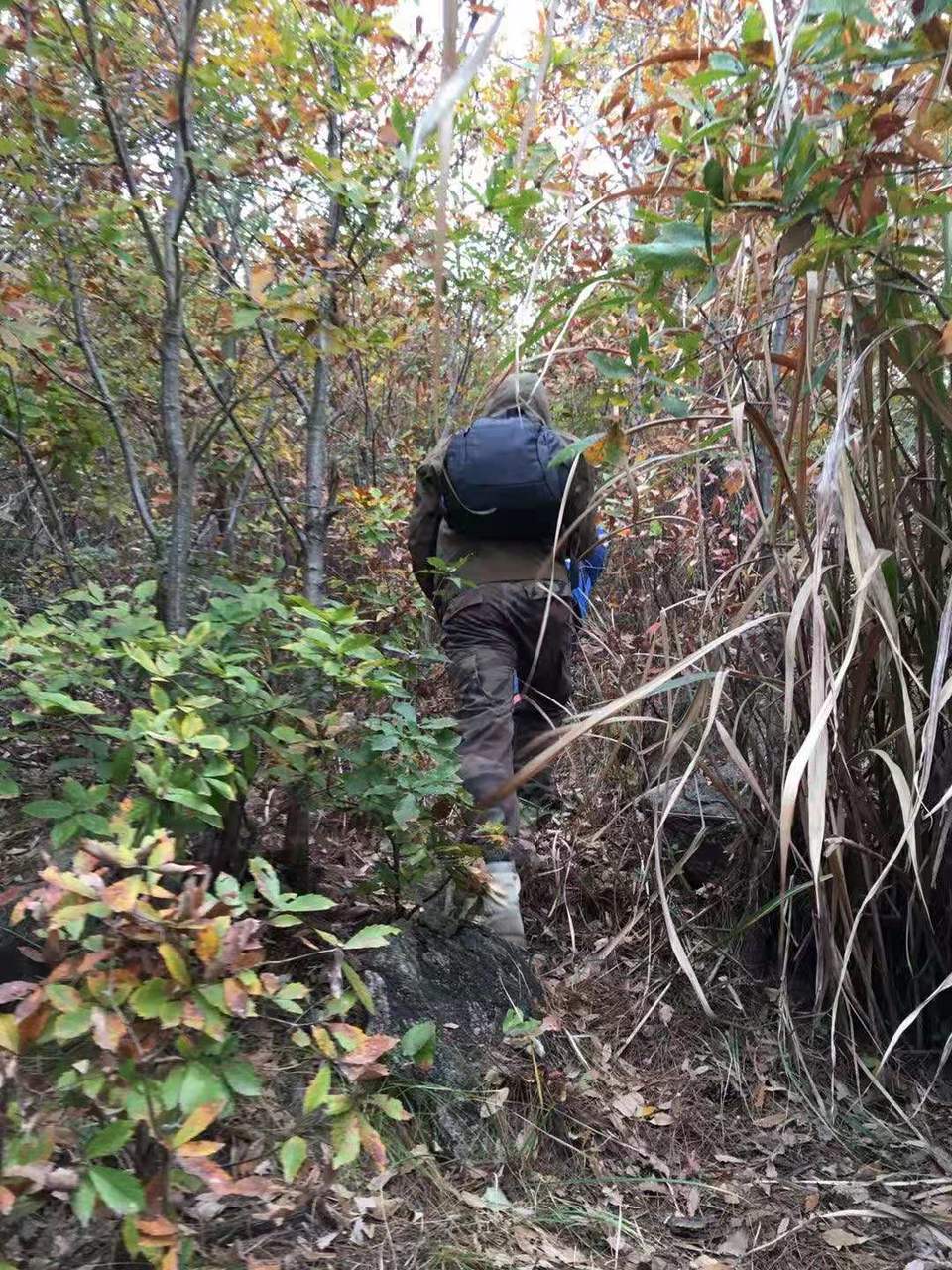 微信图片_201911250957196