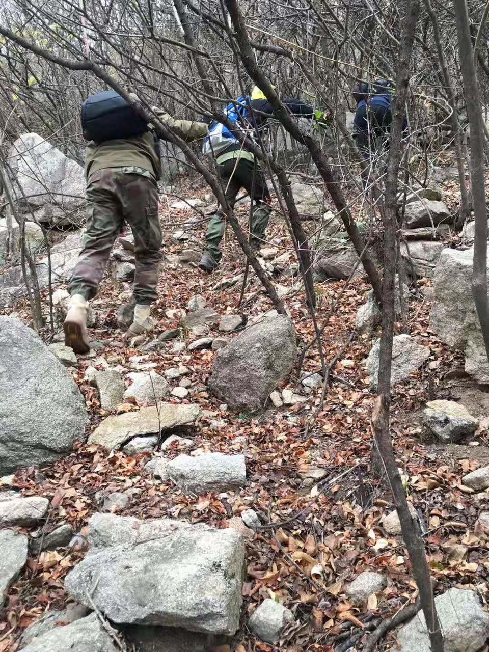 微信图片_201911250957197