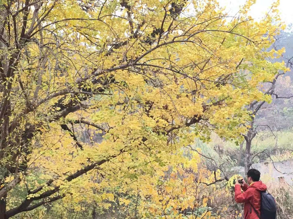 微信图片_201911250958175