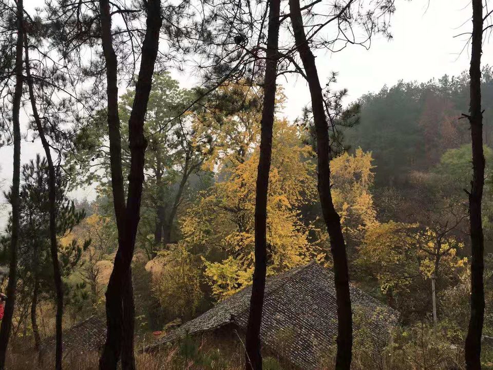 微信图片_201911250958176