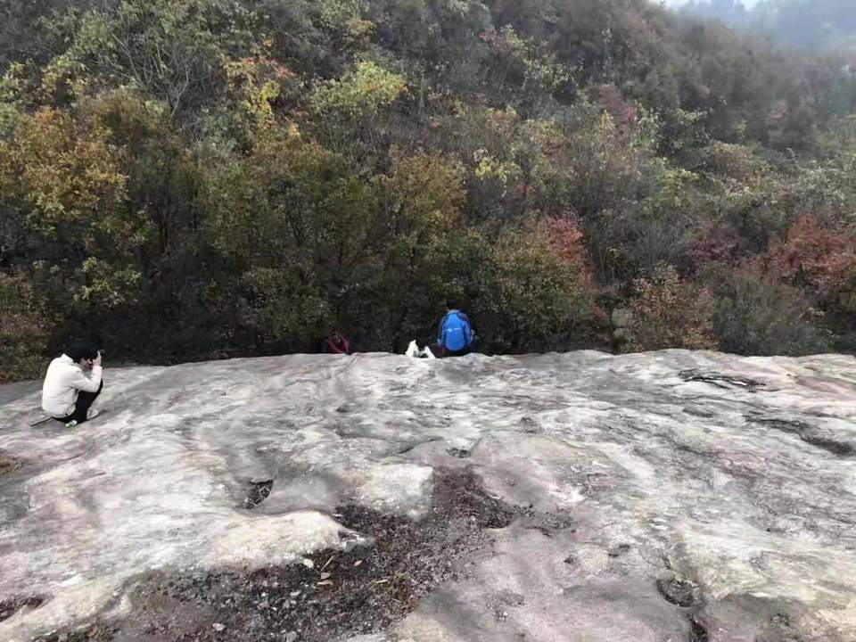 微信图片_201911250958177