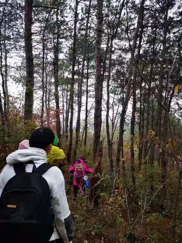 微信图片_201911250958501