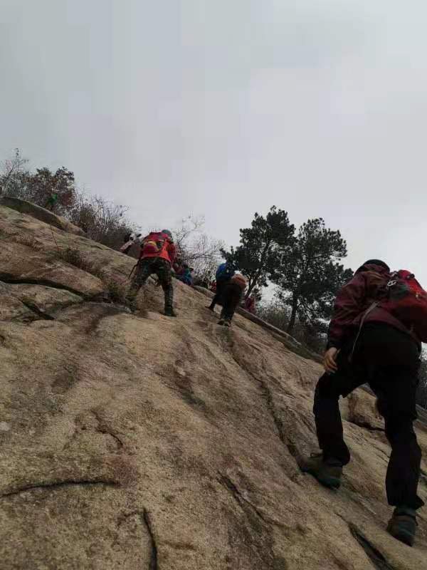 微信图片_201911250959534