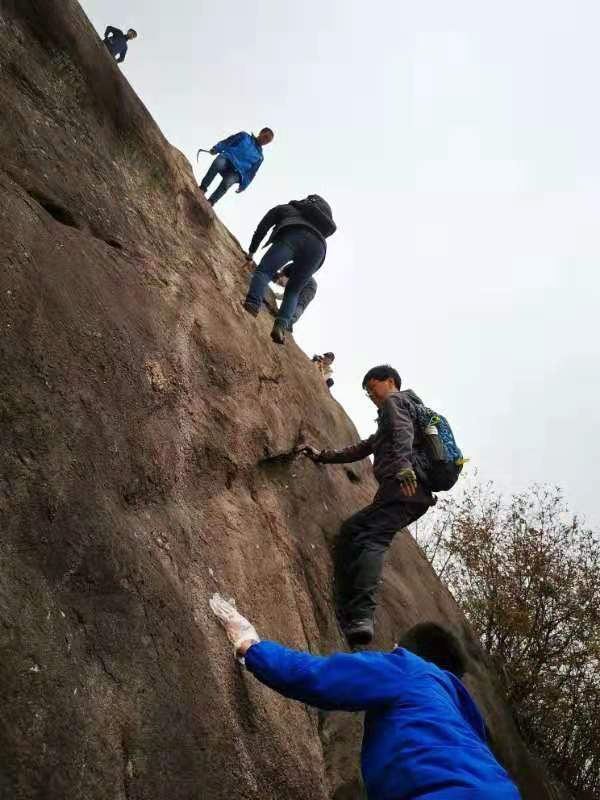 微信图片_201911250959536