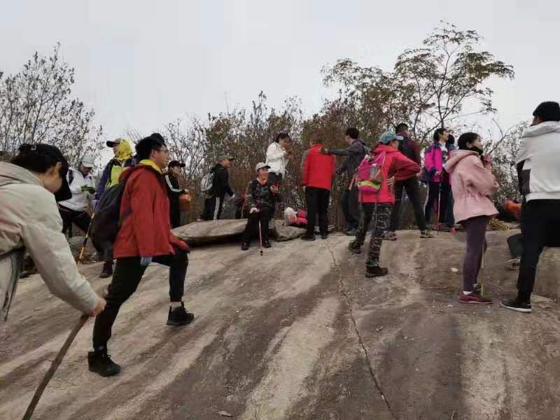 微信图片_201911251000585