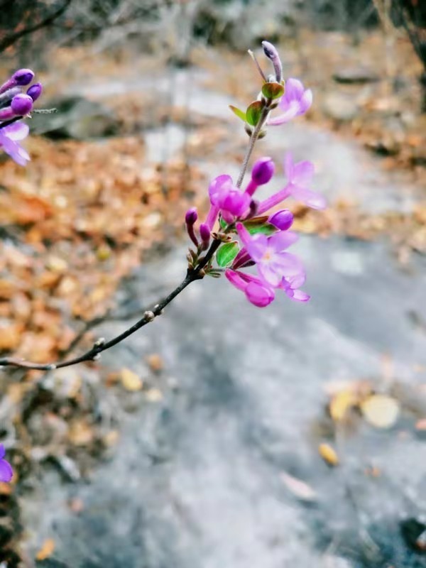 微信图片_201911251000588