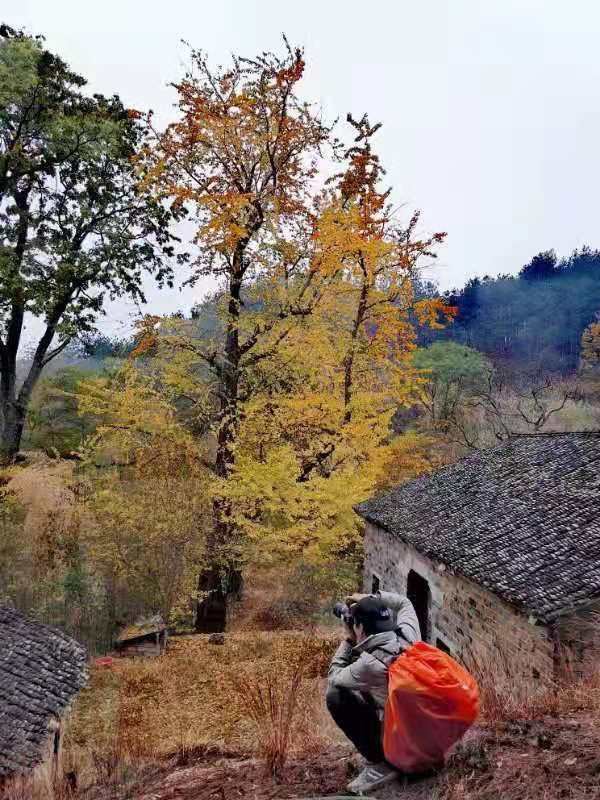 微信图片_2019112509581710