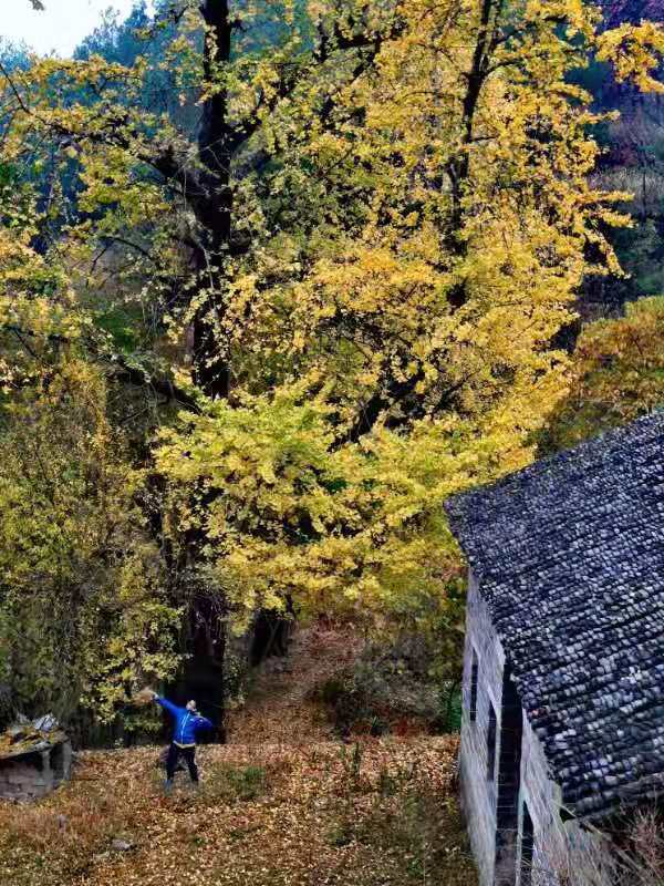 微信图片_2019112509581712