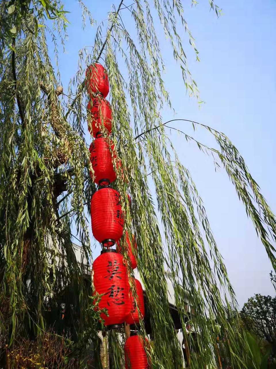 微信图片_201911251101253