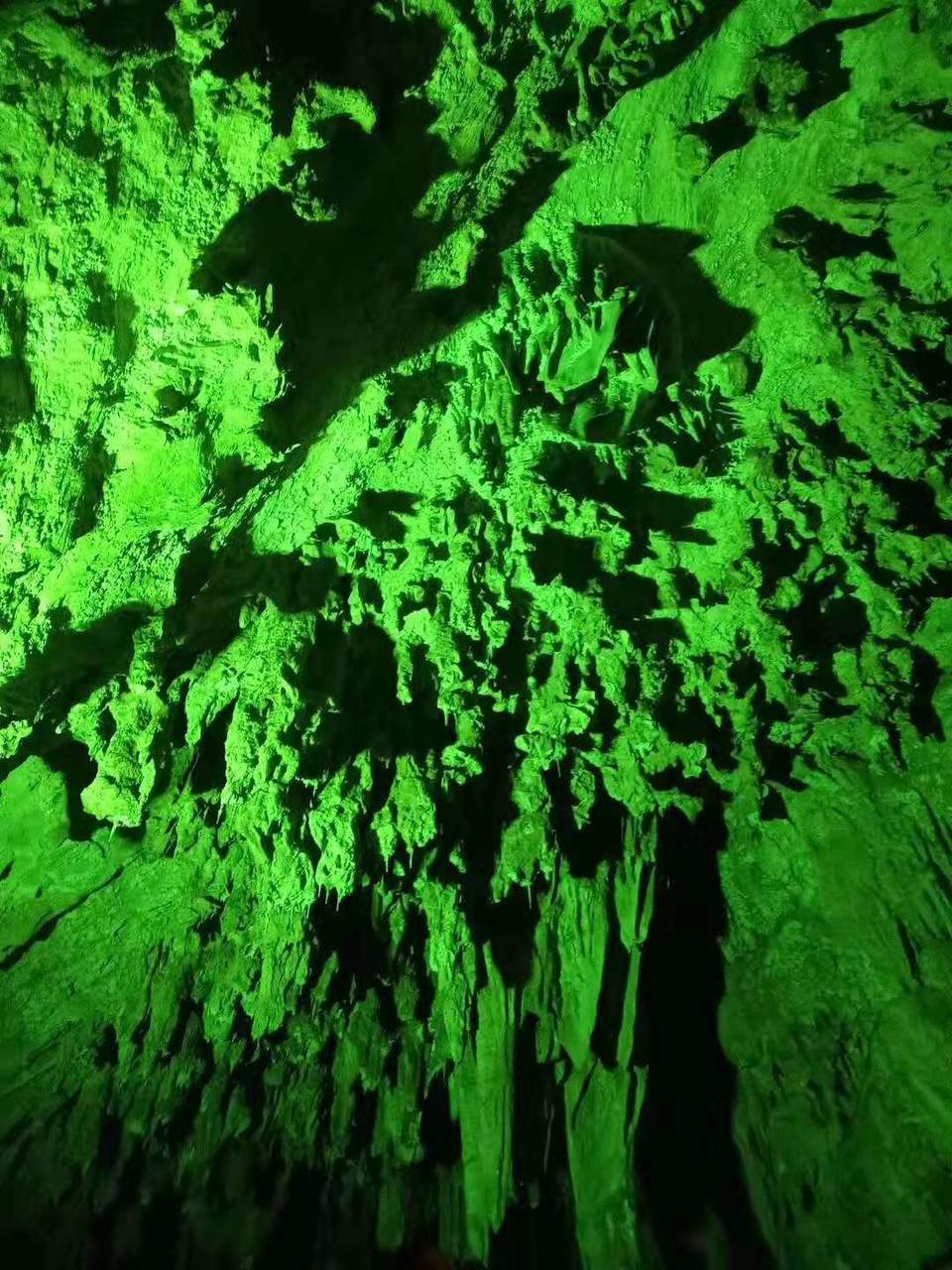 微信图片_201911251102194