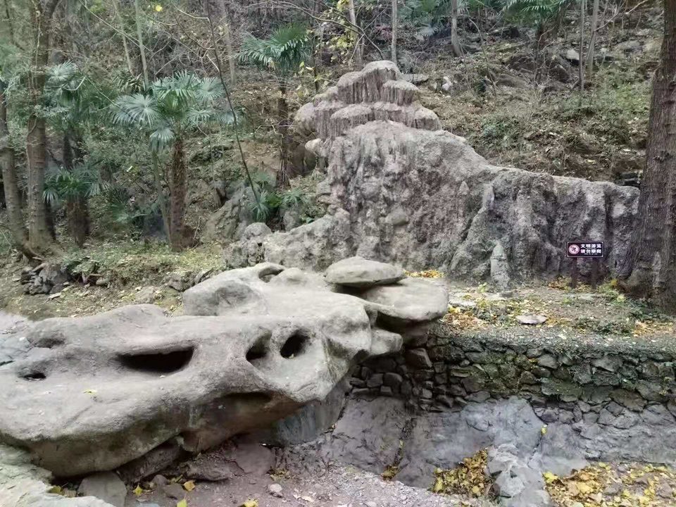 微信图片_201911251102196