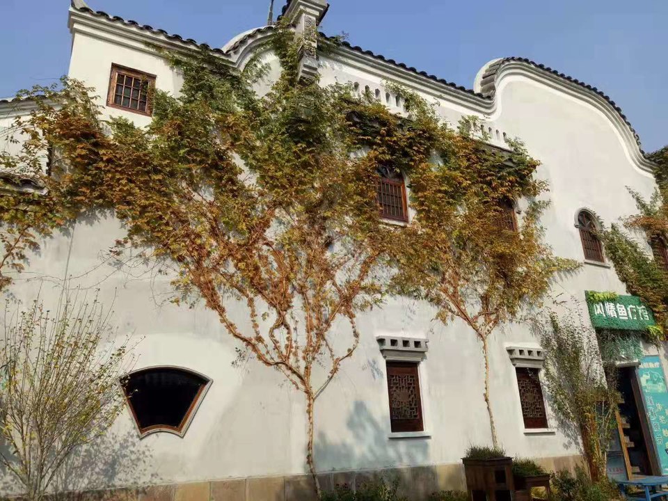 微信图片_2019112511012513