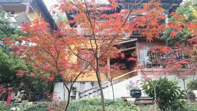 微信图片_20191202122404