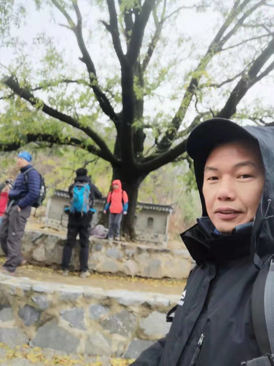 微信图片_201912021145444