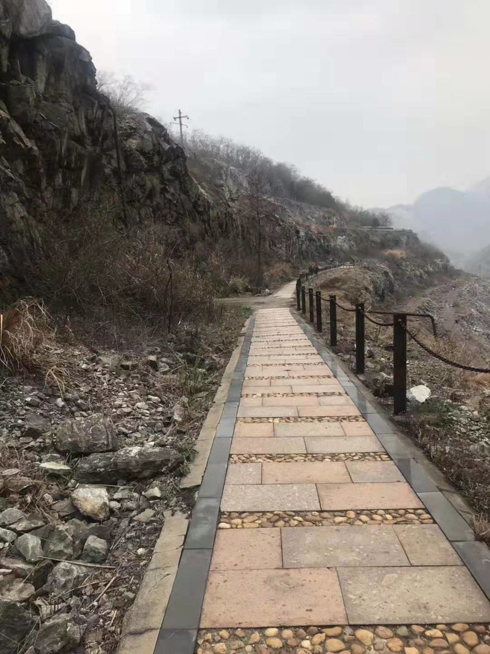 微信图片_201912021145445