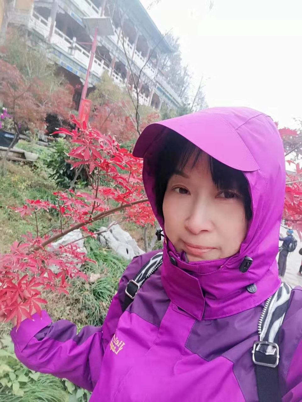 微信图片_201912021145448