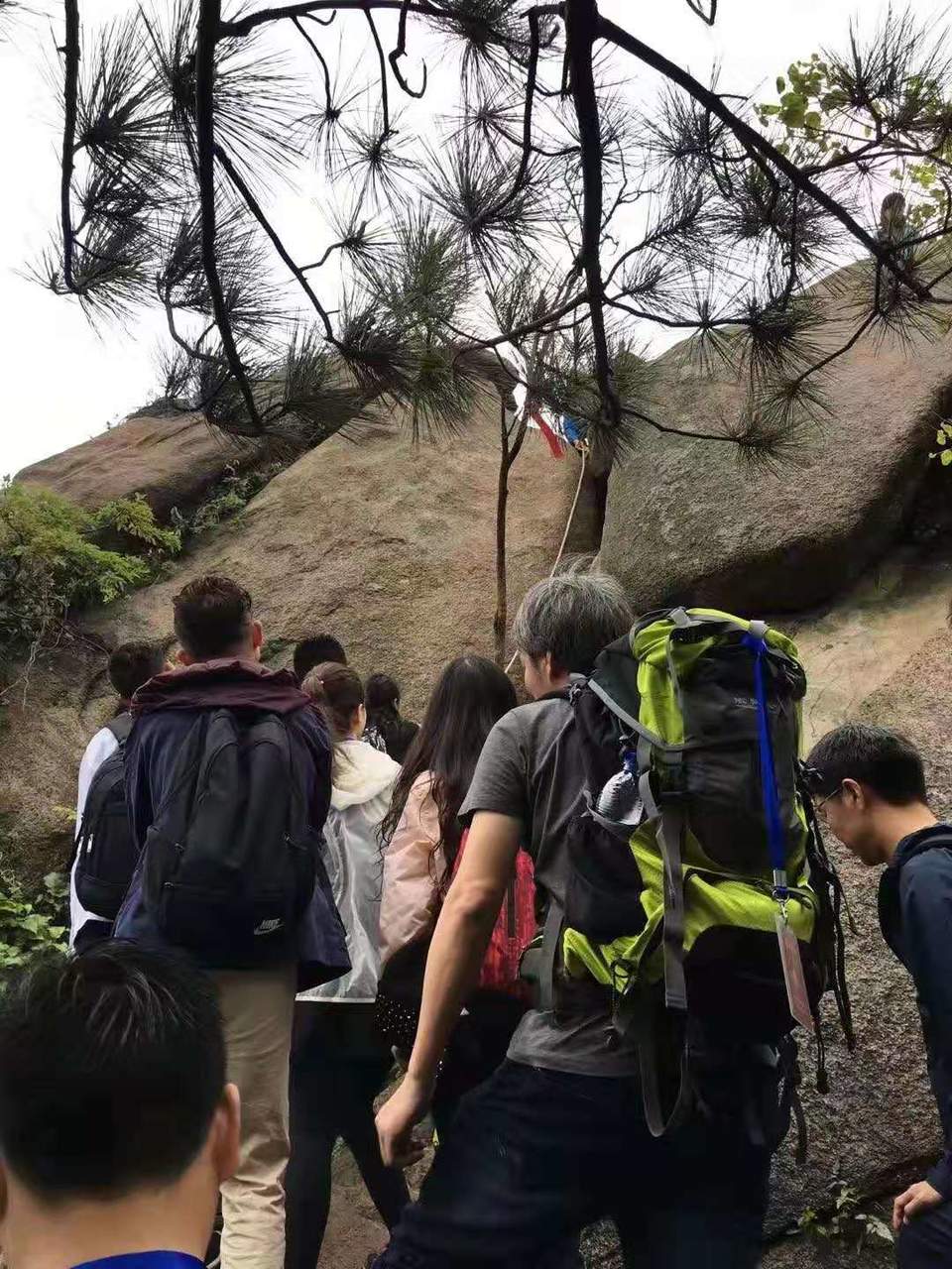 微信图片_201912021155063