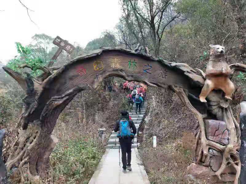 微信图片_201912021155066