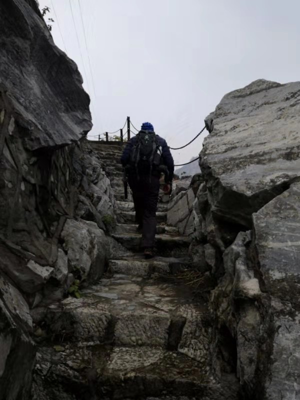 微信图片_201912021218563