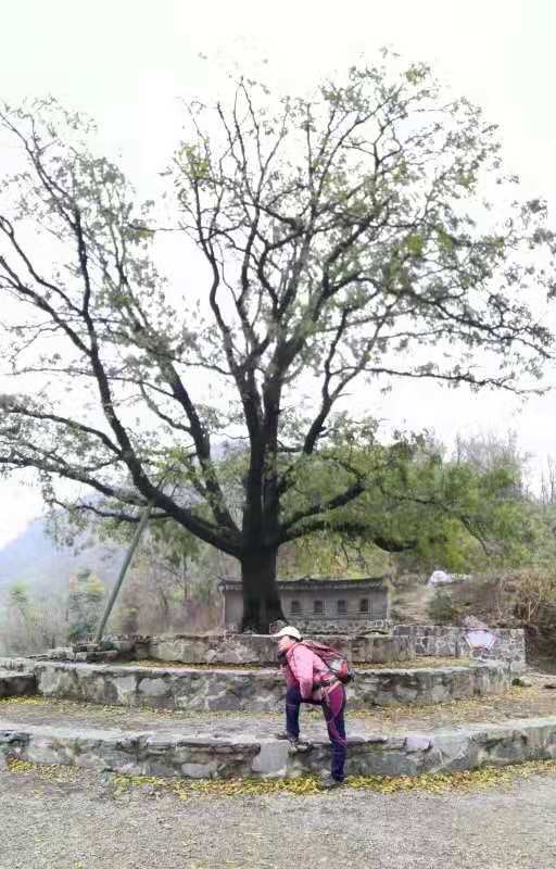 微信图片_201912021222301