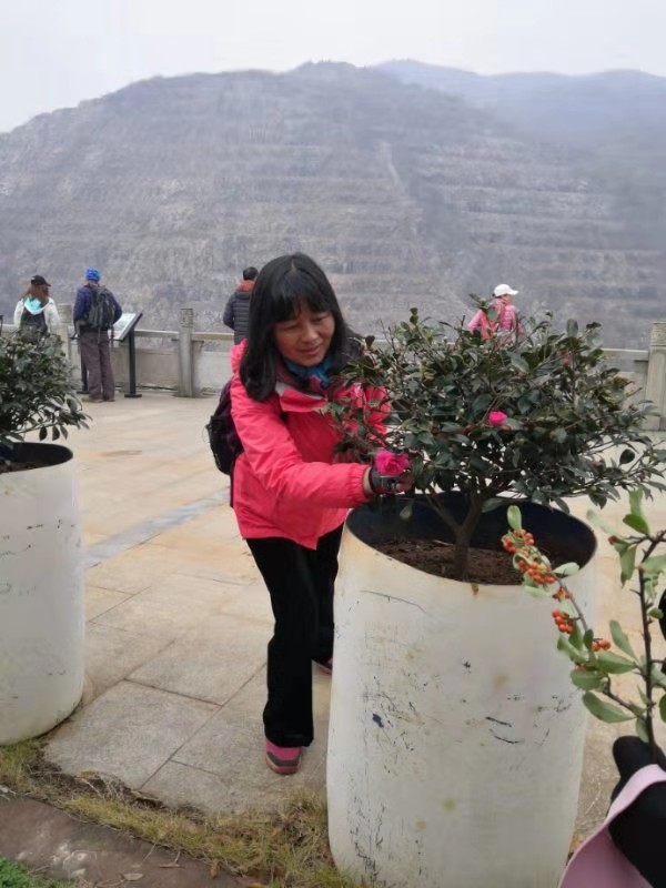 微信图片_201912021222307