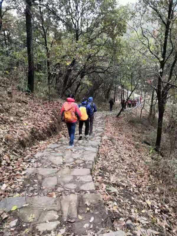 微信图片_201912021223252