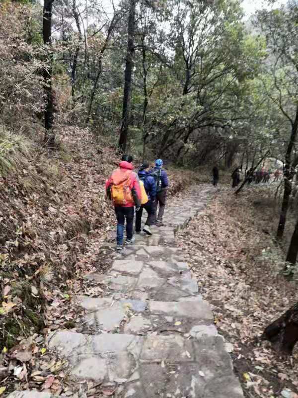 微信图片_201912021223254