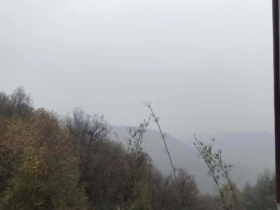 微信图片_201912021224042