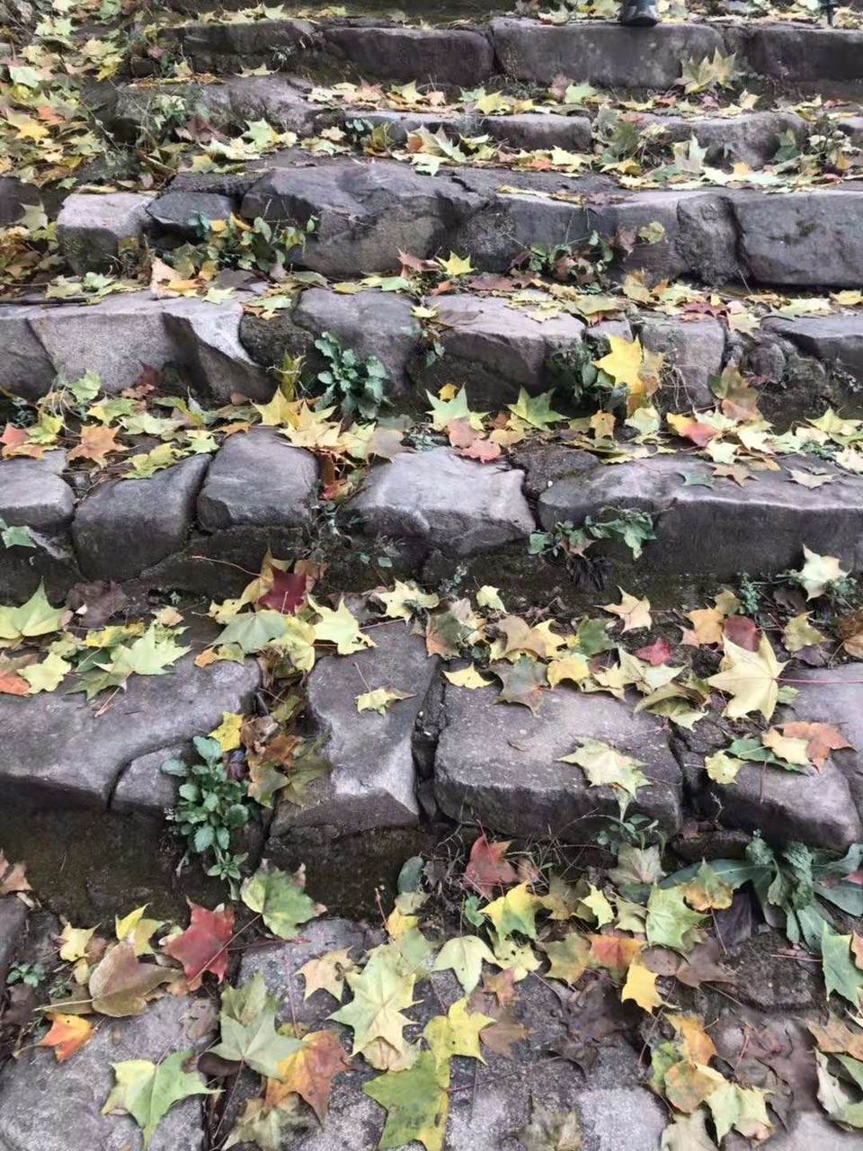 微信图片_201912021224045