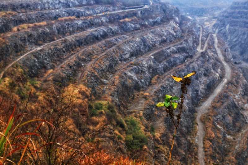 微信图片_201912021224356