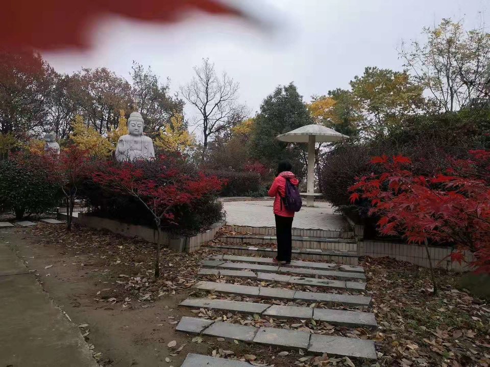 微信图片_2019120211454415