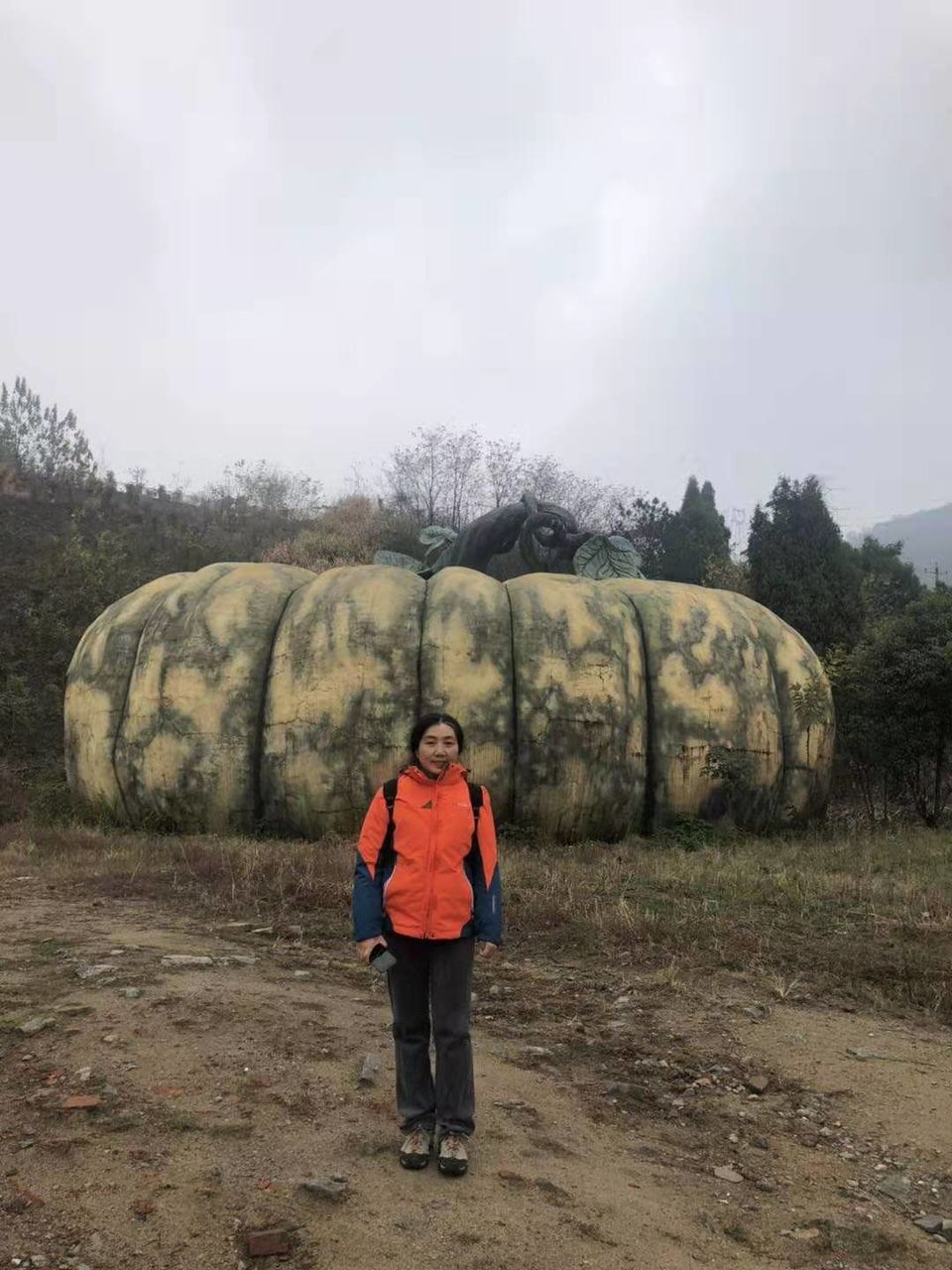 微信图片_2019120211470815