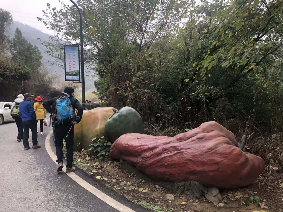 微信图片_2019120211470816