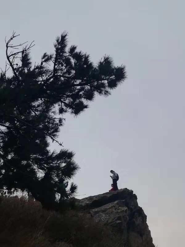 微信图片_201912161138223