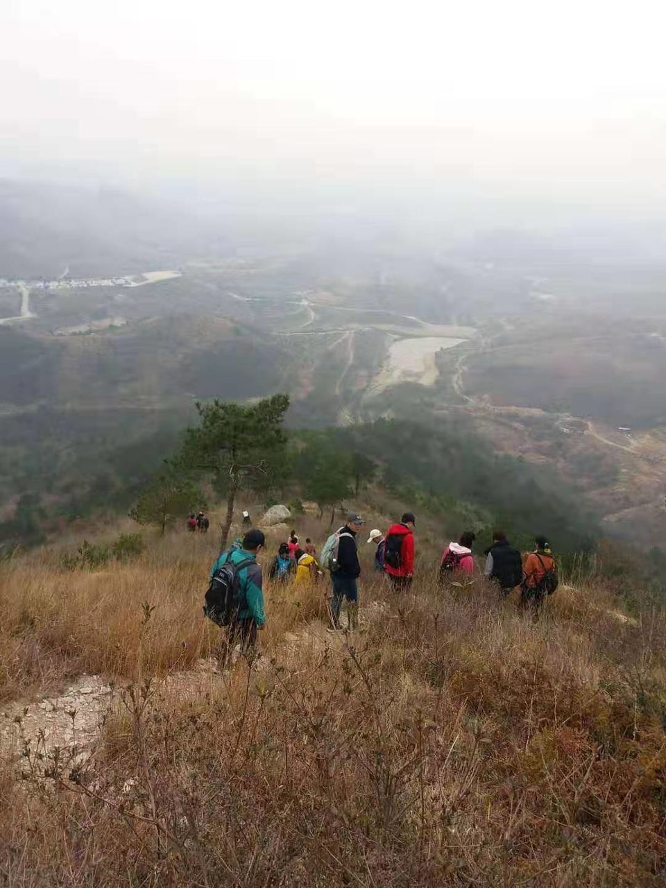 微信图片_201912161138543