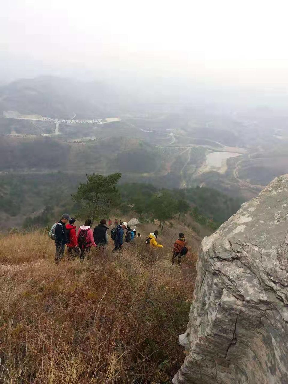 微信图片_201912161138544