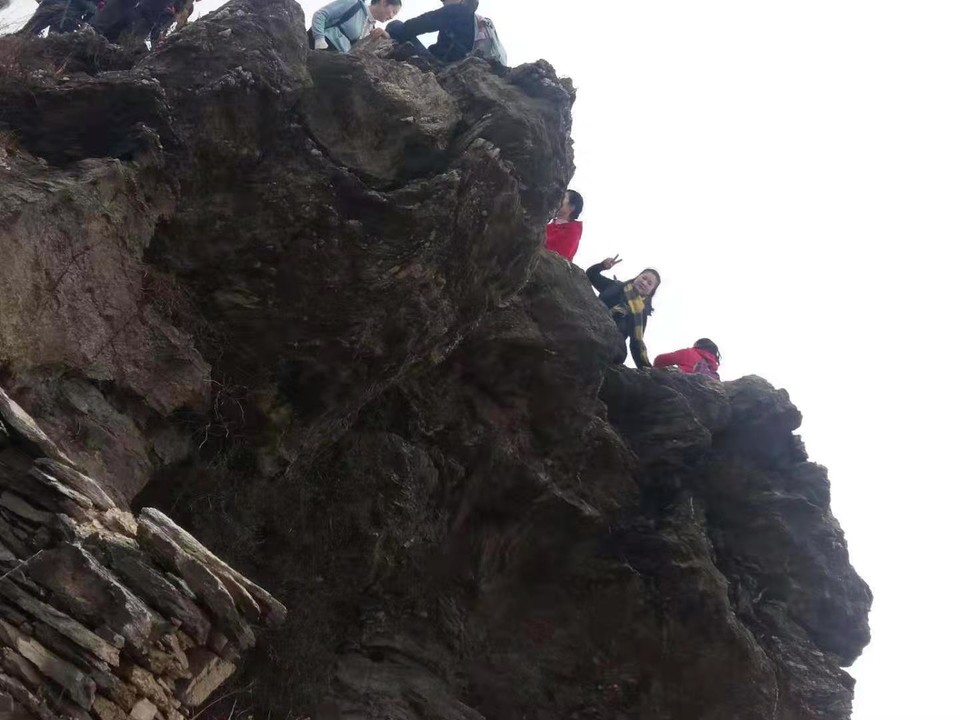 微信图片_201912161139236