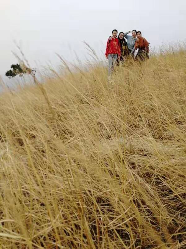 微信图片_201912161140055