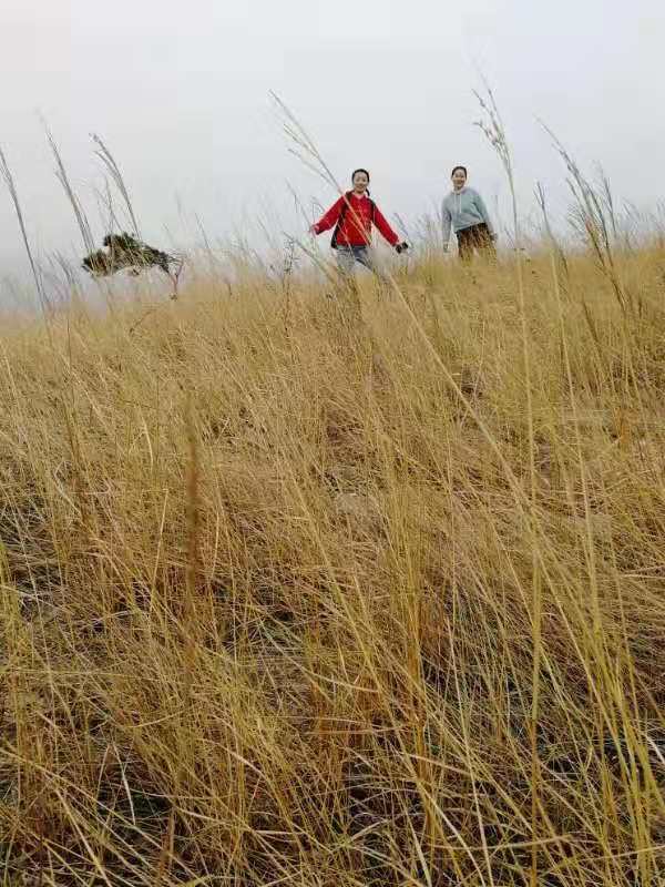 微信图片_201912161140056