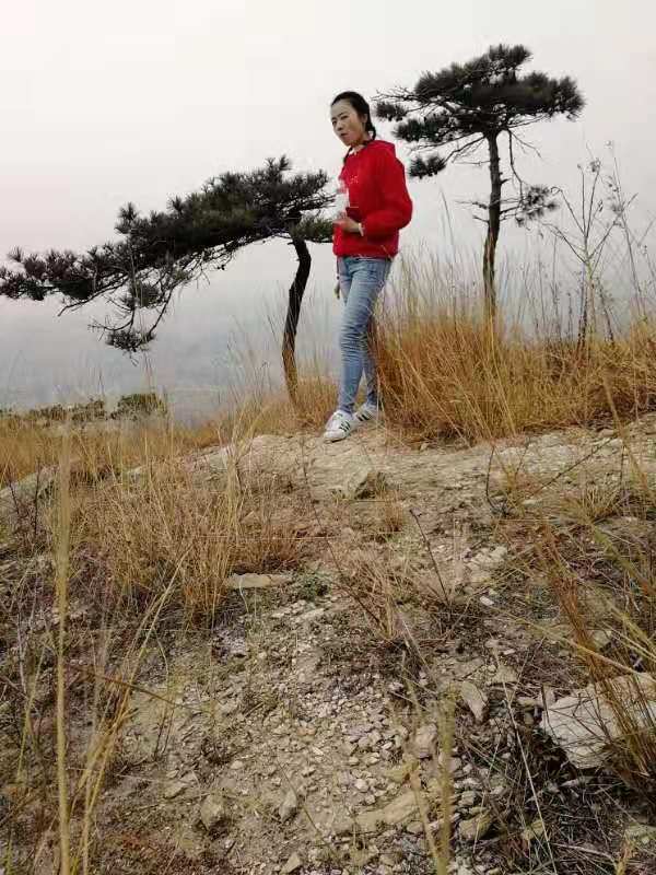 微信图片_201912161140057